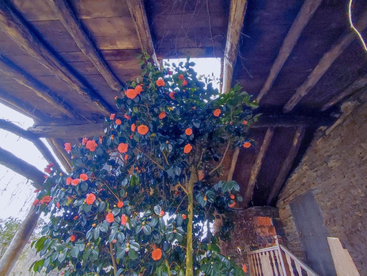 Hotel Casa De Diaz Samos Kültér fotó